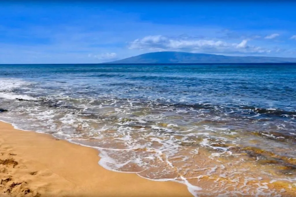Renovated 8Th Floor Studio At The Mahana!! Kahana United States